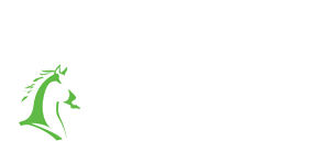 Stance logo