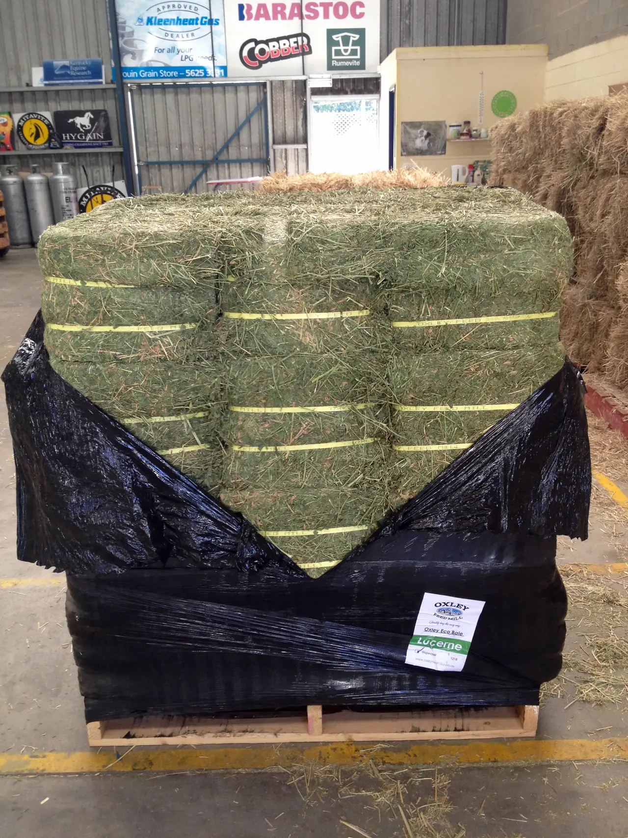 Lucerne hay bales stacked on a pallet inside Drouin Grain Store